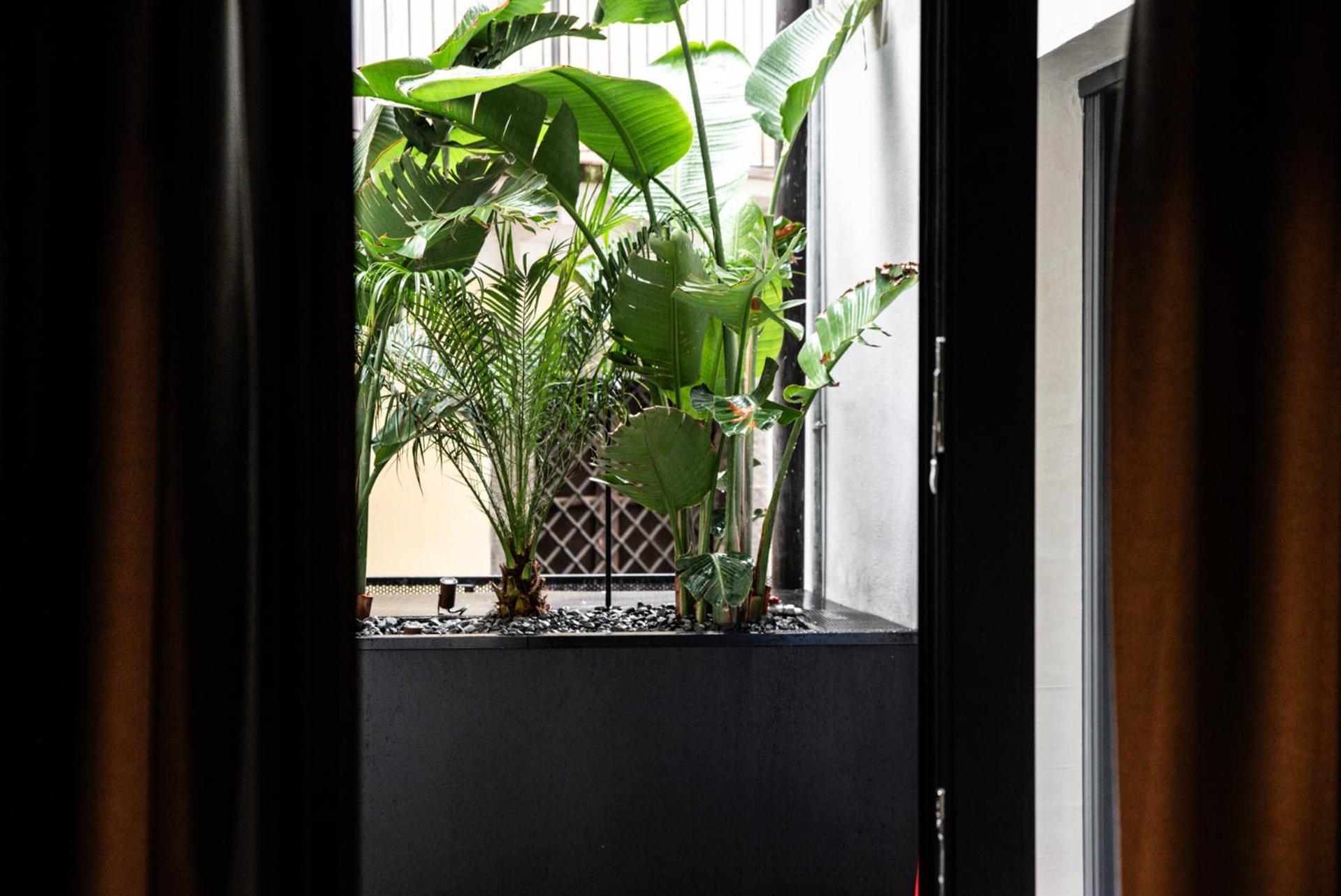 Terme Di Bacco - Design Apartaments And Spa 카타니아 외부 사진
